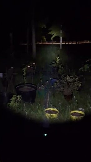 You won’t believe how powerful this mini flashlight is 😳🔦 #Lumintop #gadgetreview