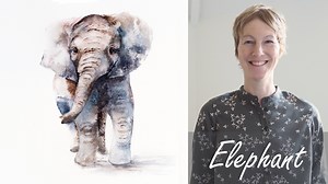 Elephant: A Free-Flow Watercolour Masterclass with Jane Davies | Jane Davies | Skillshare