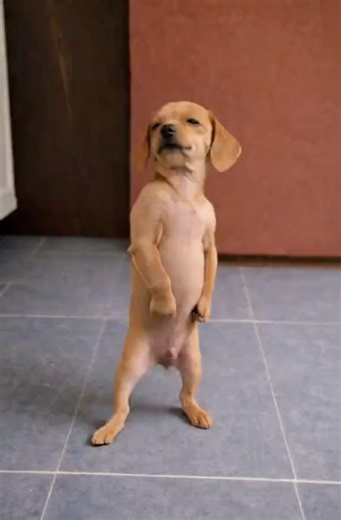 I put my real feelings into this one…“Ngiyavuma” is finally out.