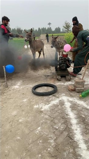 New taqneeq power full diesel engine start with a two donkey 🫏🫏🫏