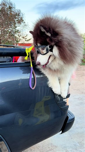 เทศกาลหยุดยาวเดินทางปลอดภัยทุกท่าน