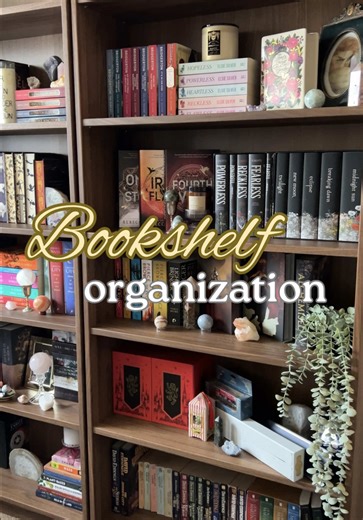 Organize my new bookshelves with me! ✨📚 Are any of these books in your collection? #bookshelforganization #bookshelf #bookcollection #booktok #bookish