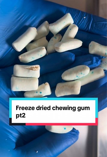 Freeze Dried Chewing Gum: A Surprising Transformation
