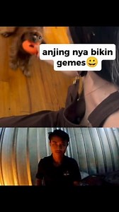 472K views · 5.2K reactions | Lucu banget hewan nya | arfisufendi | Facebook