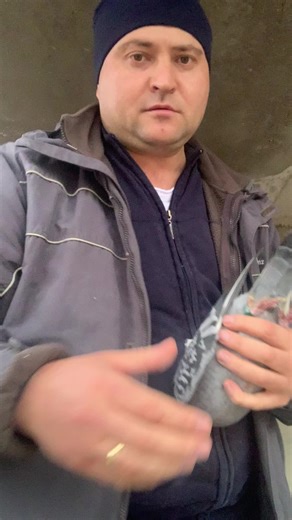 Understanding Pigeon Care and Handling Techniques