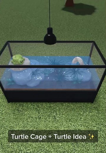 Turtle Cage Turtle Idea ✨