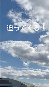 【築城基地航空祭2025】大迫力！頭上にブルーインパルス