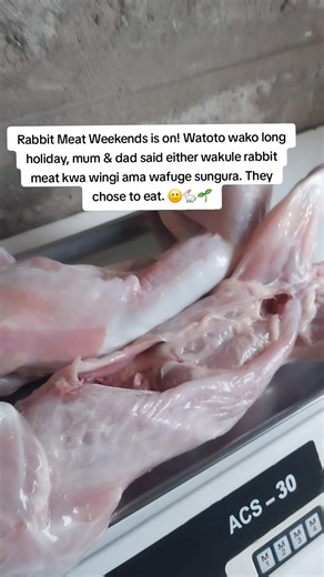 6.1K views · 80 reactions | Wewe uko mrengo gani? To just keep rabbits for fun, or to also eat them? 樂 | Rabbit Crew Kenya | Facebook