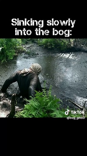 Navigating the Depths of a Bog: Control and Challenges