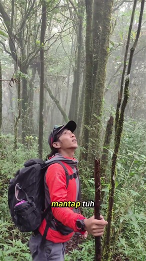 Explore 15 puncak pegunungan Malabar part 2 🔥🌿 #pendaki #pendakigunung #hiking #gunungmalabar