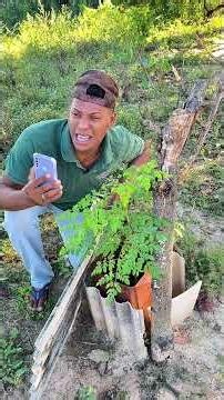 The son sees his drunk father falling to the ground 😂😂😂