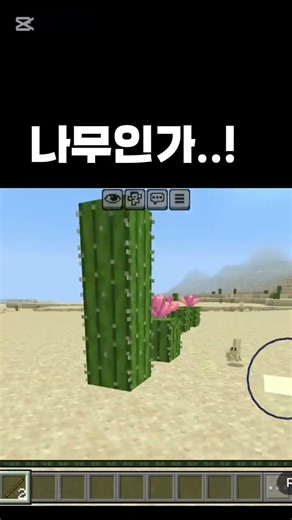 스티브의 생존기 1일 사막에 태어난 스티브 #minecraft #마인크래프트