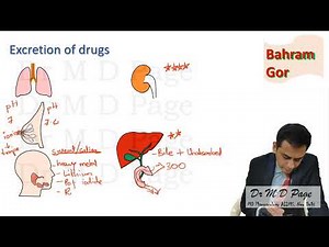 14. Routes of drug excretion