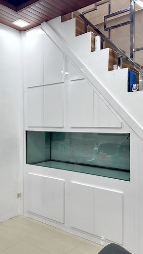 349 reactions · 261 shares |  180 Gallons Monster Tank 6x2x2ft and...