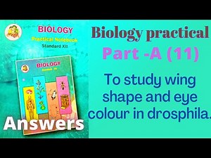 To study wing shape and eye colour in drosphila biology practical class 12 experiment 11 answers