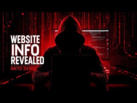 Scanned a Website for Vulnerabilities Using Nikto 😱