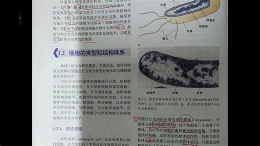 848细胞生物学-第1章细胞概述 第2章细胞生物学研究方法-20251130