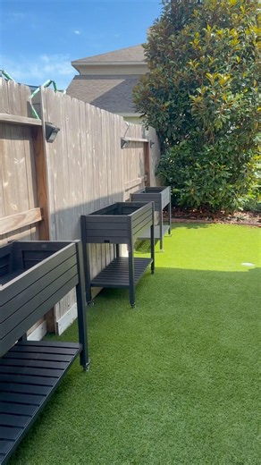 🌱 Easy Raised Garden Bed Setup for Herbs, Fruits & Vegetables 🥕