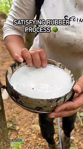 Satisfying Rubber Processing 🌳Natural rubber satisfaction 🌿Daily content 💧Follow Inspirgreen for more | Inspirgreen