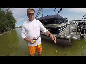 How to keep seagulls and birds off your boat