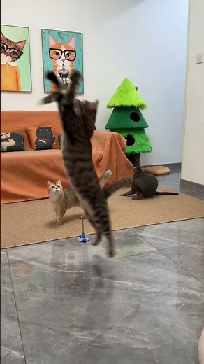 Jouet Oiseau Interactif pour Chat