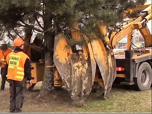 1.8M views · 19K reactions | Amazing Videos  | The most beautiful things | Facebook