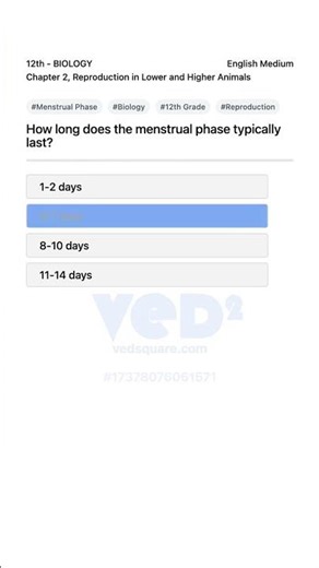 Menstrual Phase Duration Explained 12th Biology Reproduction