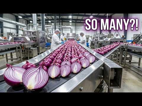 Inside the Largest US Onion Powder Factory – Full Process Documentary