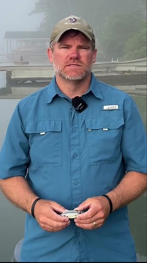 5K views · 26 reactions | The SPRO Bronzeye Frog 65 checks every box—soft enough for solid hook-ups, tough enough for heavy cover, and super easy to walk. With 52 color options and a compact, castable profile, it’s a go-to frog for big bass season. Read the full review - https://www.fieldandstream.com/outdoor-gear/fishing/baits-lures-and-flies/best-frog-lures-for-bass  #BassFishing #FrogLures #Outdoors #FieldandStream | Field & Stream | Facebook