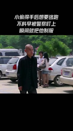 Captivating Moments from Outdoor Settings