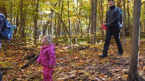 5.9K views · 61 reactions | "All children should have an oppotunity to play and learn in nature". Marlene Power from Child and Nature Alliance of Canada shares her 5 tips to help educators and parents bring nature into their early learning or home environment. | Storypark | Facebook