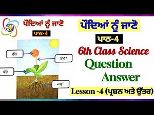 ਪੌਦਿਆਂ ਨੂੰ ਜਾਣੋ | 6th class science book | chapter 4 |question answer| lesson 4 |PSEB|punjabi medium