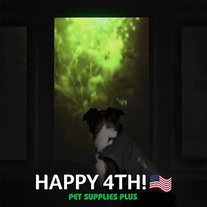 Raise your paw if you’re feeling pet-riotic 🇺🇸 Happy 4th of July to all of our neighbors! | Pet Supplies Plus