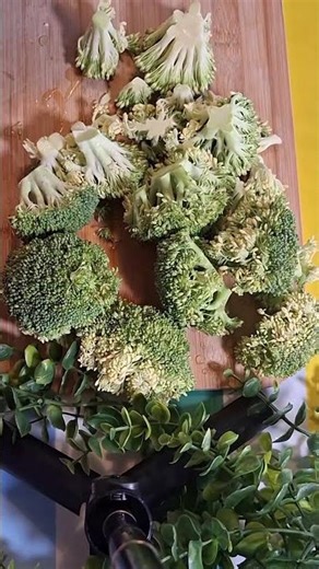 5 minutes Pan Roasted Broccoli with Garlic 🥦🧄 2 Ingredients Easy Quick Recipe Crispy Healthy