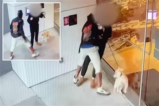 Dogwalker violently sexually assaulted by homeless suspect in LA