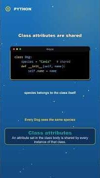 Methods, self & Class Attributes | Python in 2 Minutes