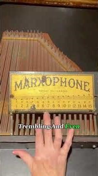 This Might Be the Weirdest Instrument in American History. #marxophone #knowledge #oddlysatifying