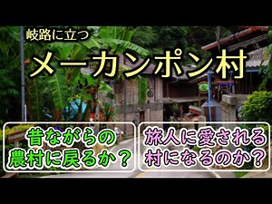【♯82】再開後のターぺー門散歩＆毎日のチェンマイニュース