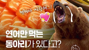 [모닝 스브스] 연어 마음껏 먹는 '연남동'…동네 아니고요, 동아리죠!