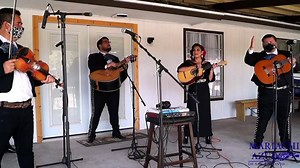 4.1K views · 115 reactions | Members of MES are offering virtual mariachi serenatas with Mariachi Azul!!! Call 210.833.9583 to book yours today | Mariachi Entertainment System | Facebook