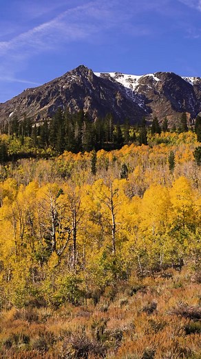 18K views · 498 reactions | Fall colors around mammoth lakes, California #fallcolors #landscapephotography #travelphotography #traveladdict #mammothlakes #reels | Dgphotography | Facebook
