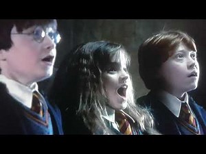 Harry Potter Fluffy