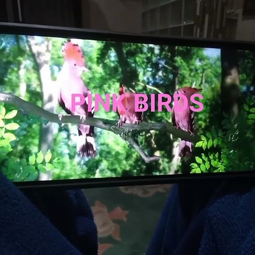 in the night garden pink tittifers tune
