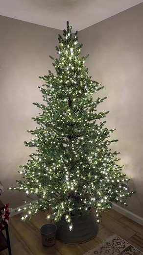 Elegant Grand Fir >> Grand Duchess from home depot 🎄🎅🏼 #christmastree #homedepottree #viralchristmastree
