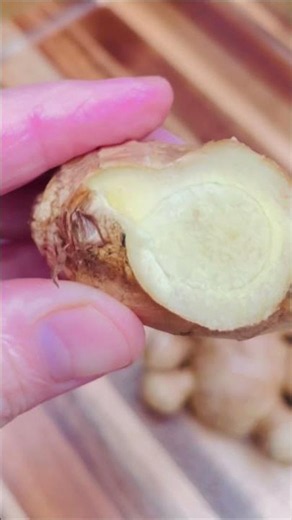 DONT FORGET TO WASH YOUR GINGER 🫚. #ginger #fresh #food