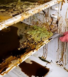 37K views · 67 reactions | Satisfying deep cleaning of dirtiest fridge: Just wondering how did it end up like this! | 5-Minute Crafts Family | Facebook