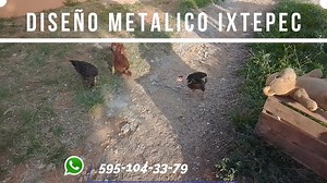 2K views · 39 reactions | MOLINO DE GRANOS VERSION MINI PIDELA AL 5951043379 SOMOS FABRICANTES Y ENVIAMOS A TODO MEXICO CHECA MAS PRODUCTOS EN NUESTRA SECCION DE VIDEOS *no incluye taladro | Diseño Metalico Ixtepec | Facebook