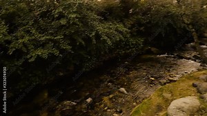 Fast flowing mountain river in a beautiful snowy landscape of Guadarrama mountains in a small medieval town of Rascafria near the Spanish capital Madrid in winter.