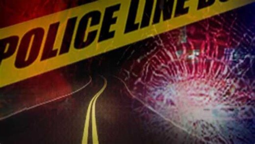 Sheriff: 1 person killed, others Life Flighted after vehicle hits tree, ditch in Appling County
