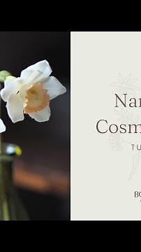 Narcissus Cosmpolitan Sugar Flower Tutorial (Gumpaste / Flower paste)